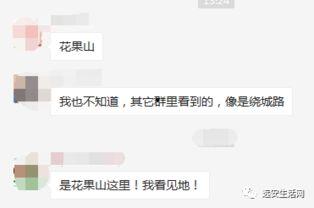 远安最新爆料事件视频,视频揭露惊人真相，事件背后有何隐情？  第3张